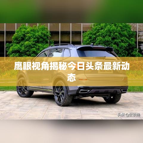 鹰眼视角揭秘今日头条最新动态