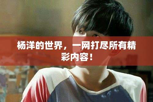 杨洋的世界，一网打尽所有精彩内容！
