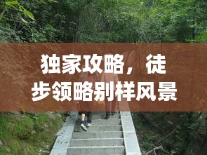 独家攻略，徒步领略别样风景，5公里徒步旅行体验分享