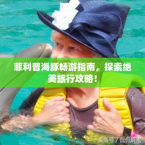 菲利普海豚畅游指南，探索绝美旅行攻略！